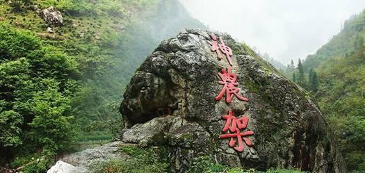 新余消防部门通报市民投诉热线电话占线或无法接通问题：将增设举报电话